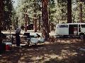 N. Rim Campground